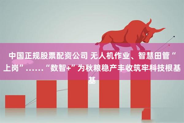 中国正规股票配资公司 无人机作业、智慧田管“上岗”……“数智+”为秋粮稳产丰收筑牢科技根基