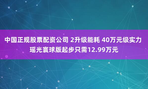 中国正规股票配资公司 2升级能耗 40万元级实力 瑶光寰球版起步只需12.99万元