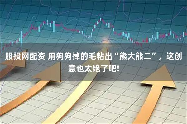 股投网配资 用狗狗掉的毛粘出“熊大熊二”，这创意也太绝了吧!