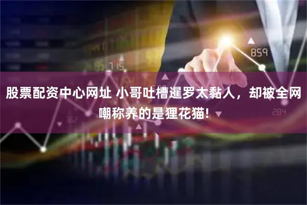 股票配资中心网址 小哥吐槽暹罗太黏人，却被全网嘲称养的是狸花猫!