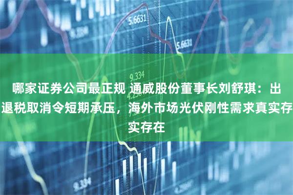 哪家证券公司最正规 通威股份董事长刘舒琪：出口退税取消令短期承压，海外市场光伏刚性需求真实存在